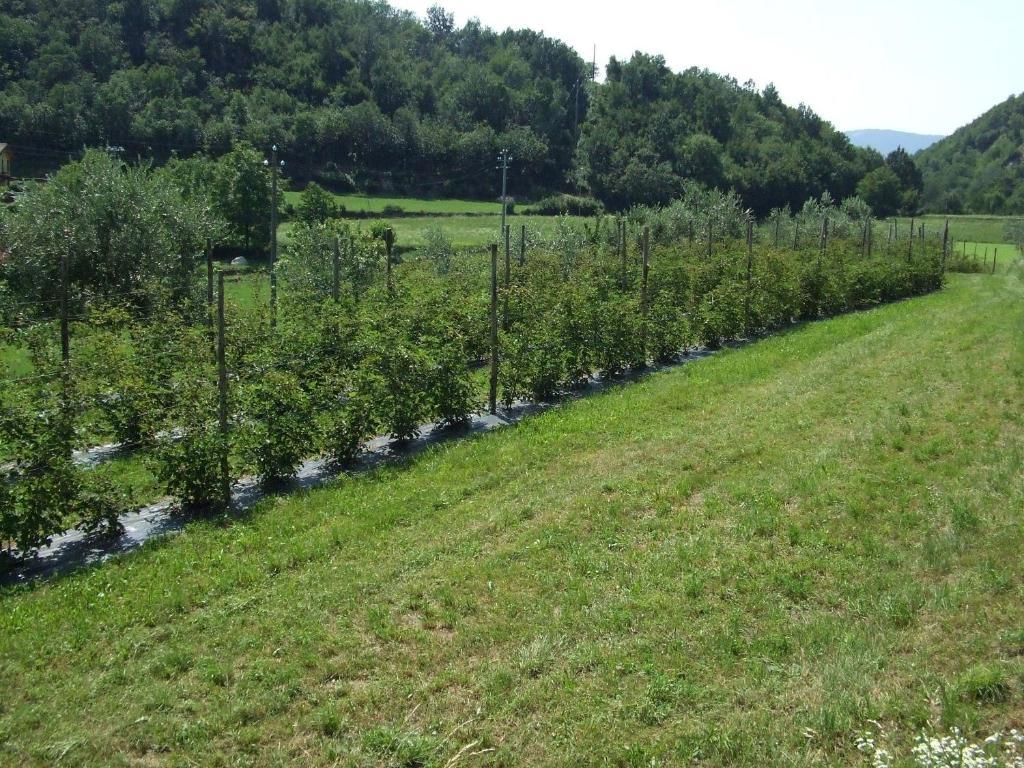 Agriturismo Cascina Rossano Провальо-д'Изео Экстерьер фото